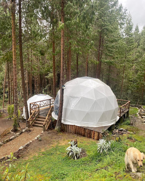 Domos geodésicos en bosque